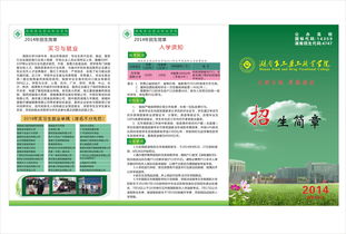 2014年湖南食品药品职业学院招生简章 初中生版